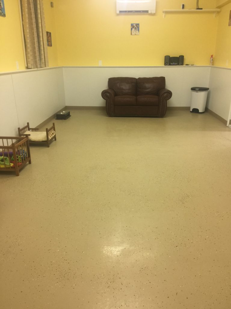 play room small dog boarding kennels near me Photo Gallery IMG 5116 e1487889472909